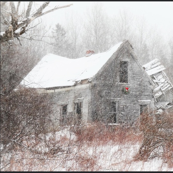 Meet your Posher, Laura - Picture 4 of 8